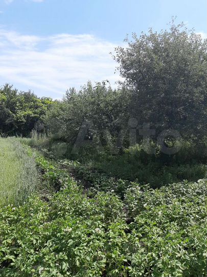 Дача 36 м² на участке 24 сот.