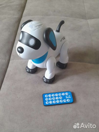 Собака робот
