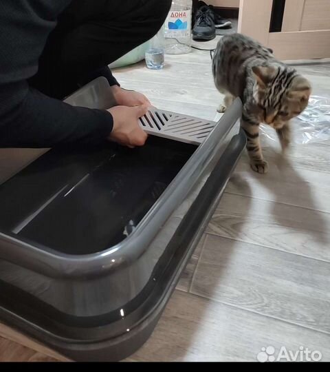 Лоток для кошек большой