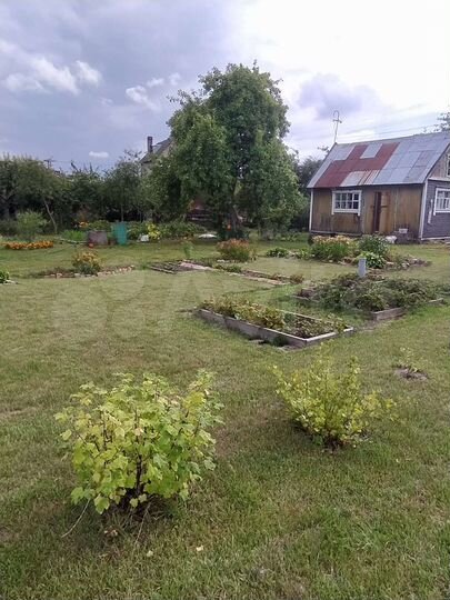 Участок 10,8 сот. (СНТ, ДНП)