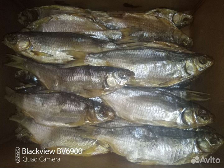 Астраханская вобла