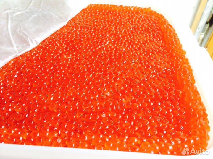 Икра кижуча доставка вкусная