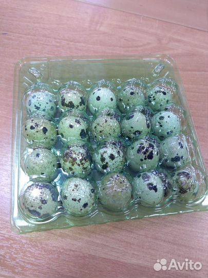 Яйца перепелиные домашние