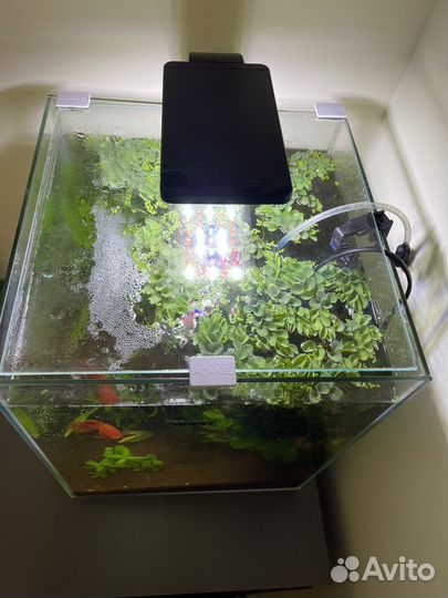 Аквариум куб