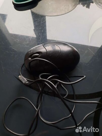 Мышка для компьютера