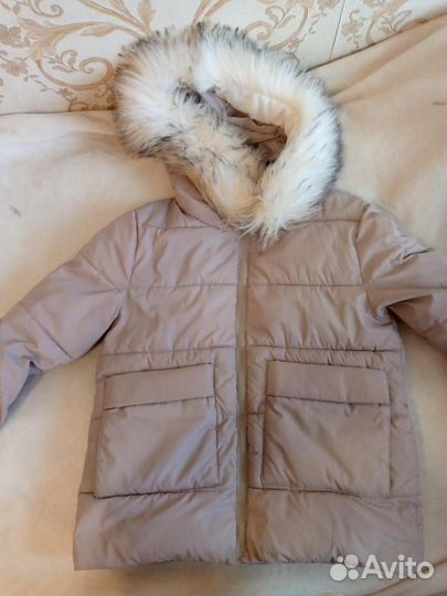 Красная горбатка