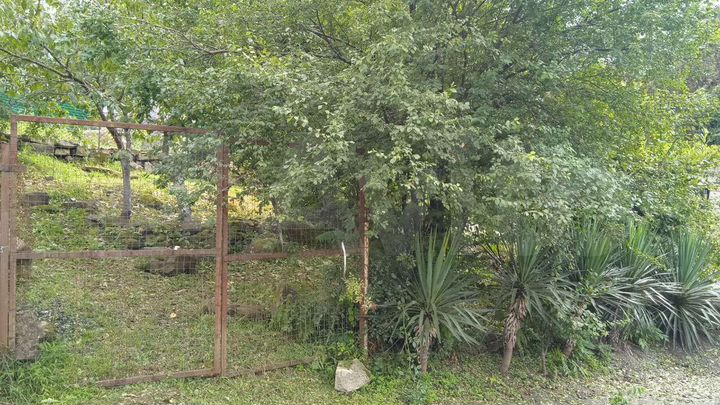 Участок 4 сот. (ИЖС)