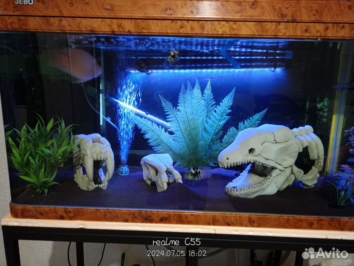 Аквариум с рыбками