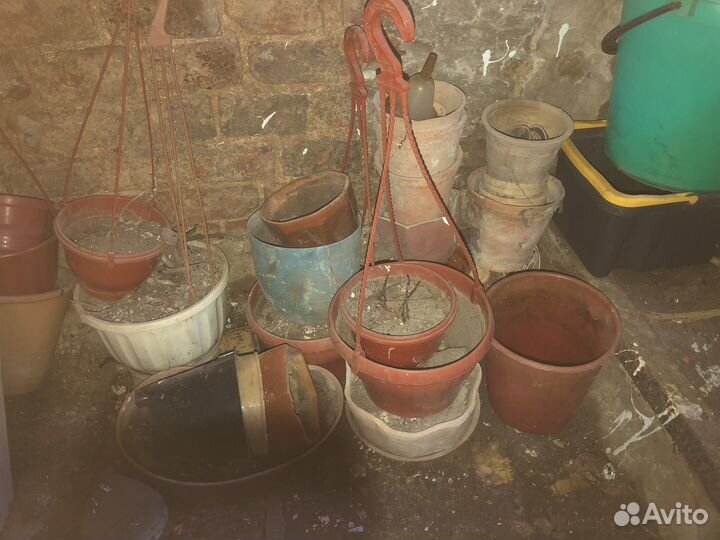 Банки стеклянные и горшки для цветов