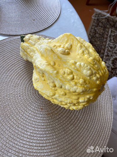 Тыква декоративная