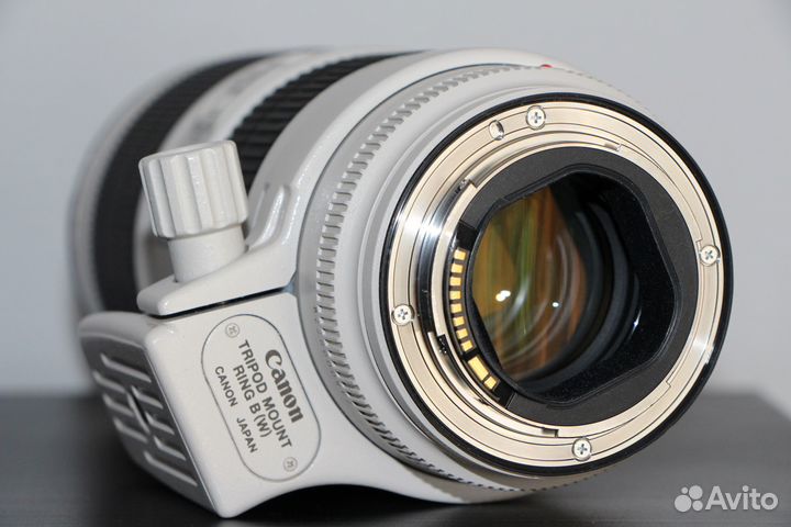 Canon EF 70-200mm f/2.8L IS II USM