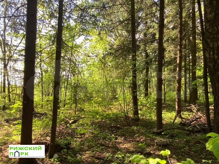 Участок 8 сот. (СНТ, ДНП)