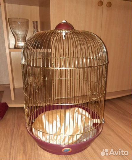 Чехол от мусора для клетки