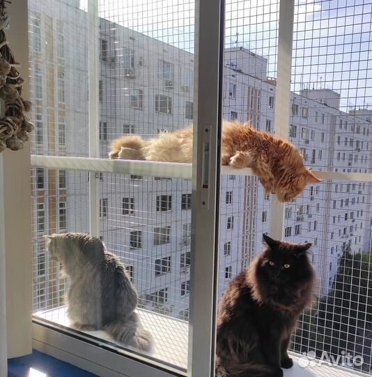 Балкончик для кошек/выгул