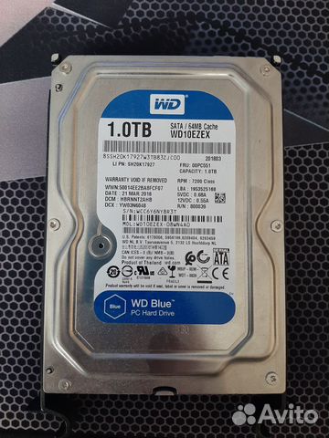 Жёсткий диск WD Blue 1Tb купить в Новосибирске | Электроника | Авито