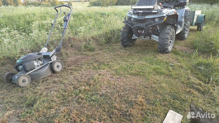 Стелс Гепард