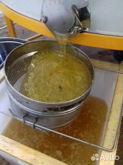 Мёд алтайский