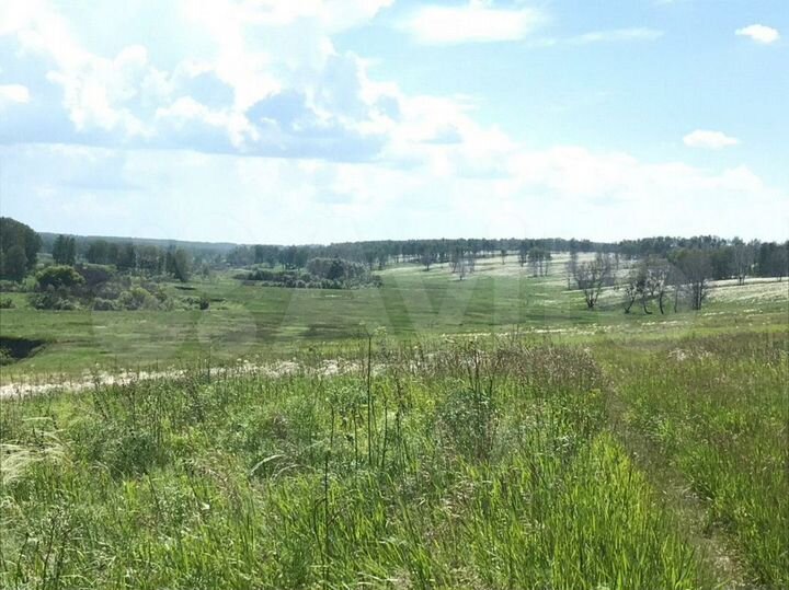 Участок 13,6 га (СНТ, ДНП)