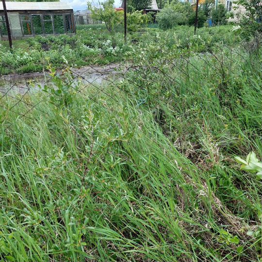 Участок 9,4 сот. (СНТ, ДНП)