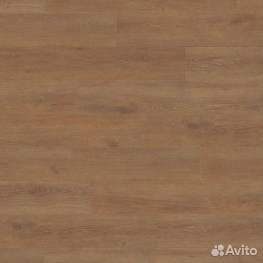 Ламинат Haro Tritty 200 Aqua 537372 Дуб Венето Мед