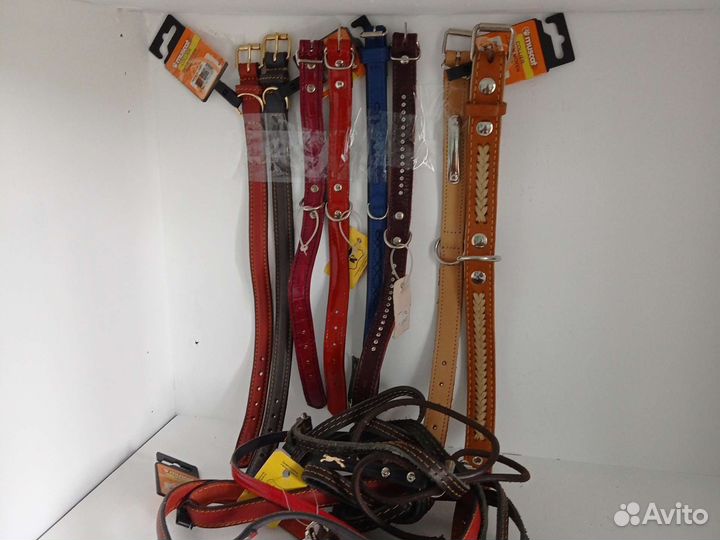 Ошейники и поводки для собак