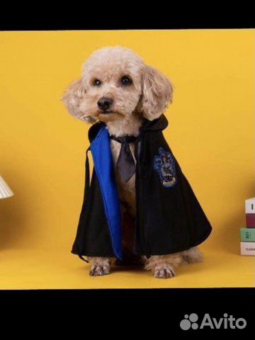 Одежда для животных