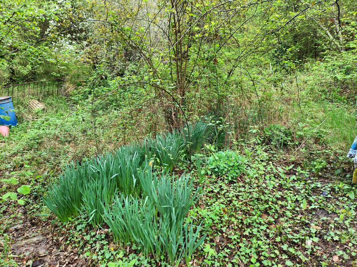 Участок 4 сот. (СНТ, ДНП)