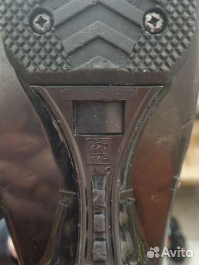 Горные лыжи volkl