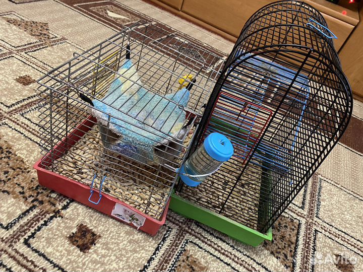 Клетка для грызунов
