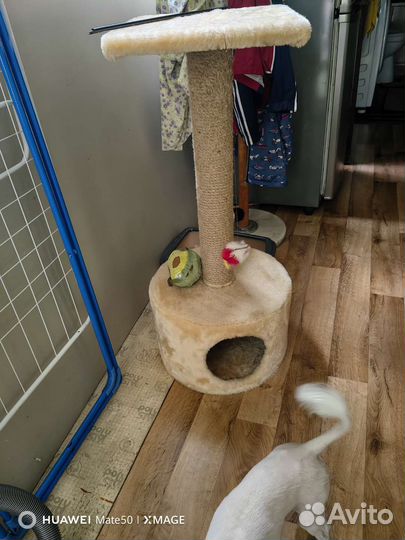 Домик когтеточка