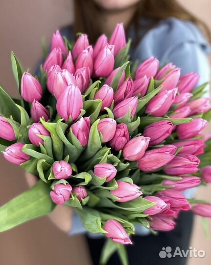 Тюльпаны Крупные премиум не местные Голландия