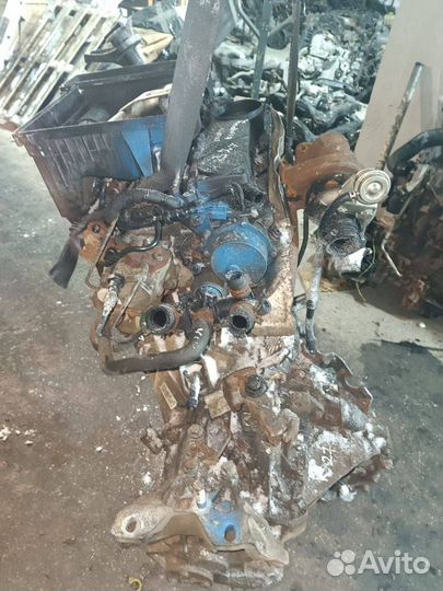 Двигатель в сборе pgfa Ford Transit 7