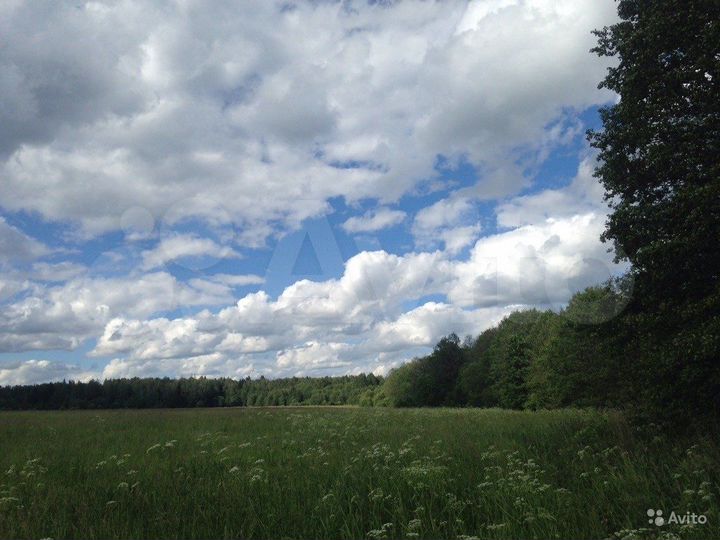 Участок 2,45 га (СНТ, ДНП)