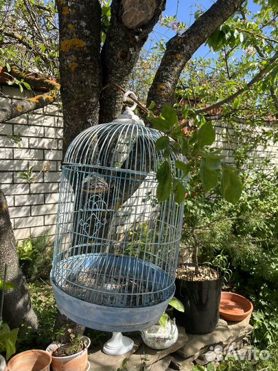 Клетка для птиц