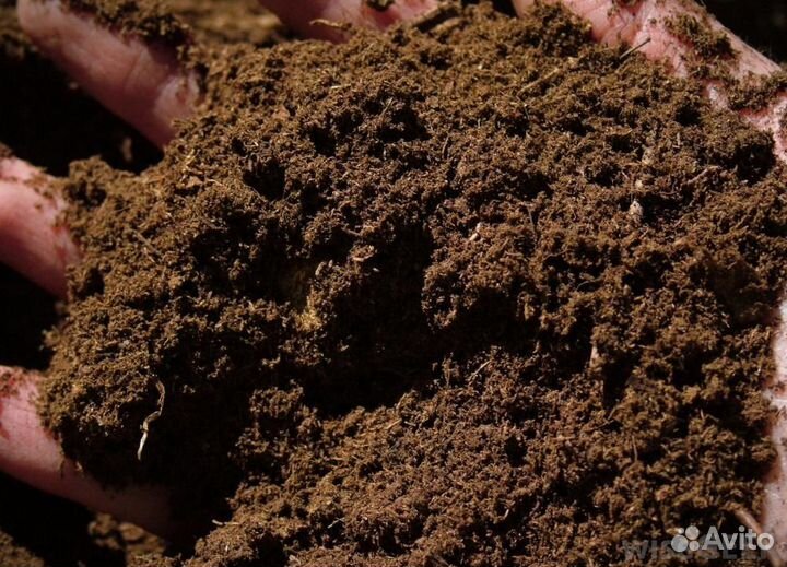 Торф переходный