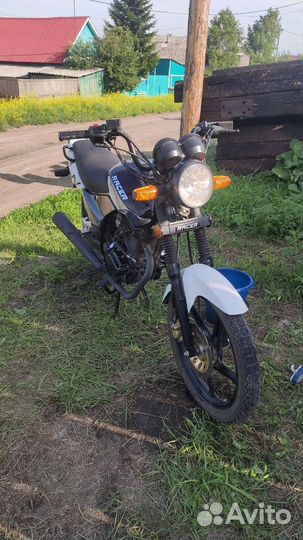 Racer RC150-23 Tiger