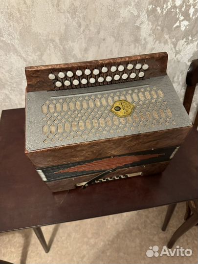 Гармонь кубань