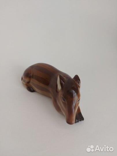 Дикий кабан лфз