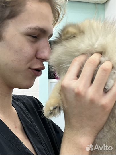 Ветеринарный врач кругласуточно на дом