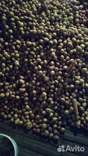 Картофель мелкий на корм