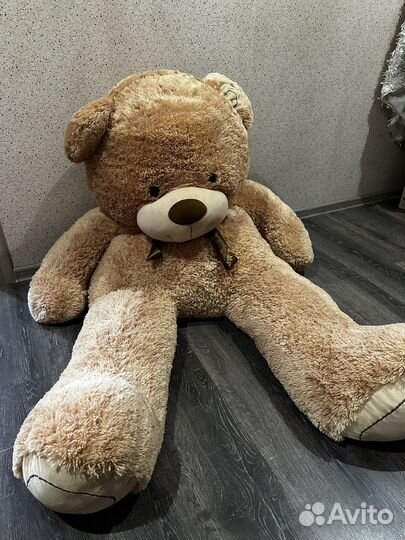 Плюшевый медведь