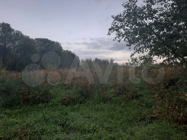 Участок 40 сот. (ИЖС)