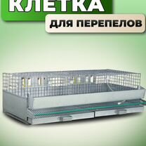 Клетка для перепелов на 50 голов (кп-50), Солнечногорск