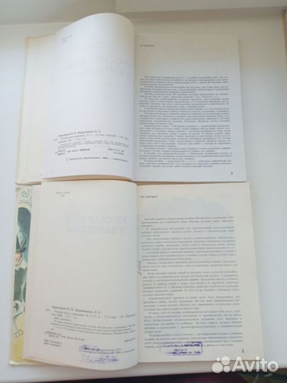 Русский язык в картинках баранников