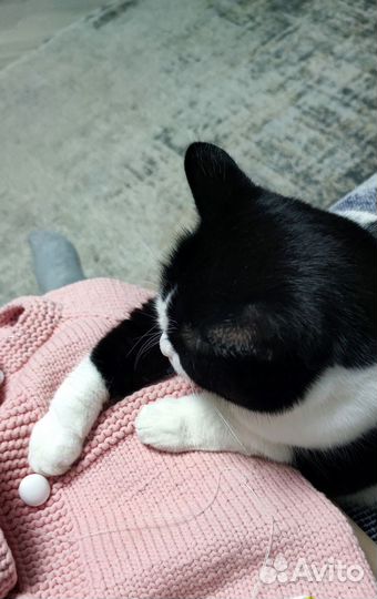 Нитки для вязания хлопок