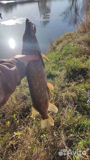 Спиннинг Bigfish 0-10g