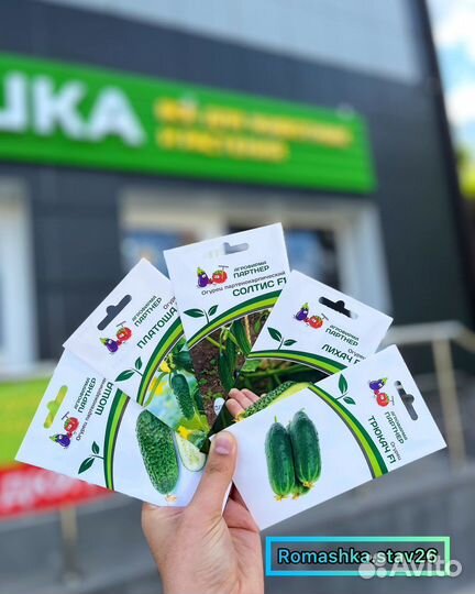 Семена партнер