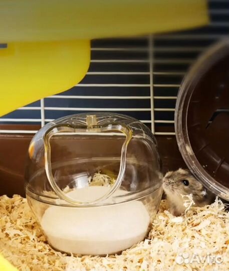 Ванночка для грызунов