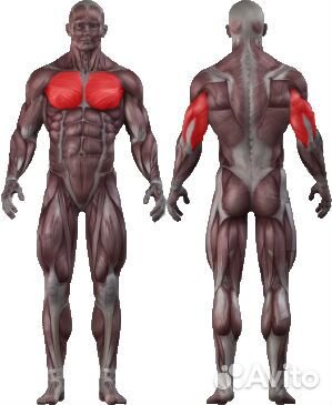 Жим горизонтальный лежа Johns CT 2032