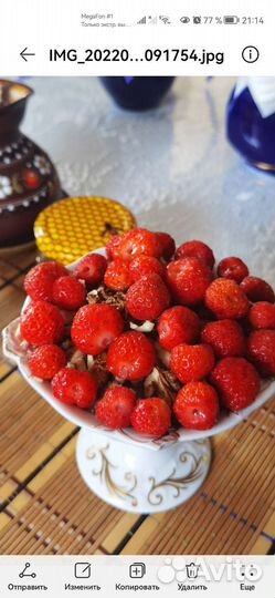 Рассада клубники